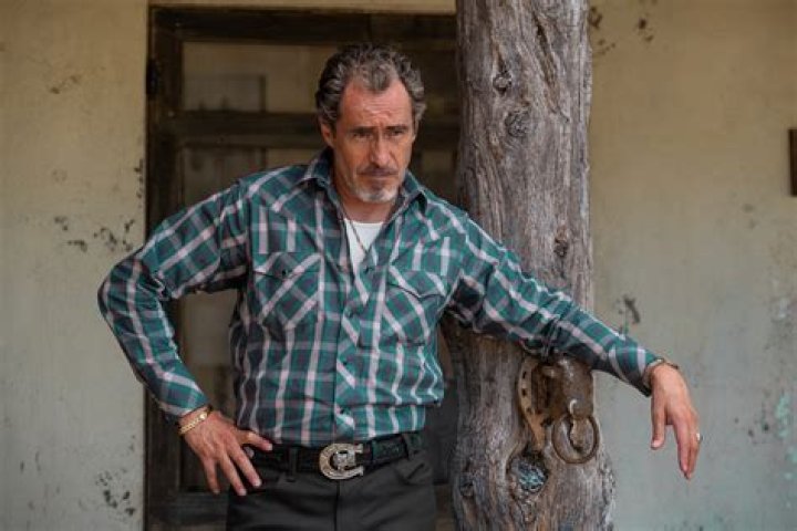Bruno Bichir Net Worth