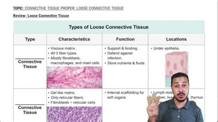 Connective Tissue Disease Increases Risk for Cardiovascular Problems