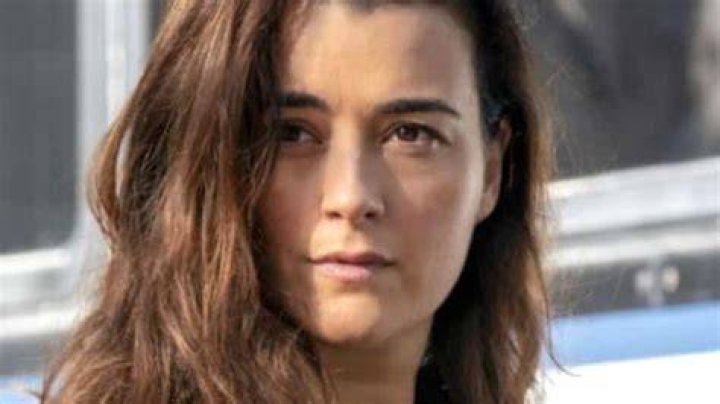 Cote de Pablo Bra Size, Age, Weight, Height, Measurements