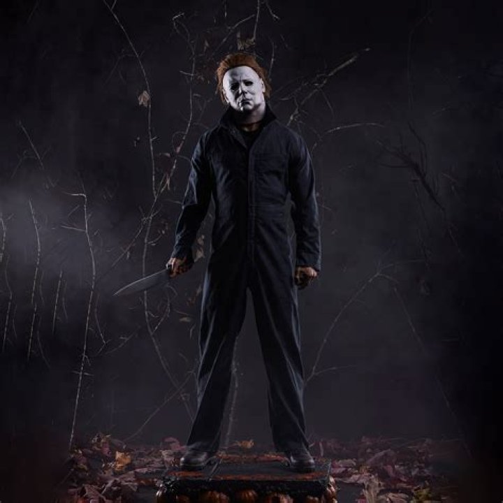Michael Myers is looking at someone in Halloween.