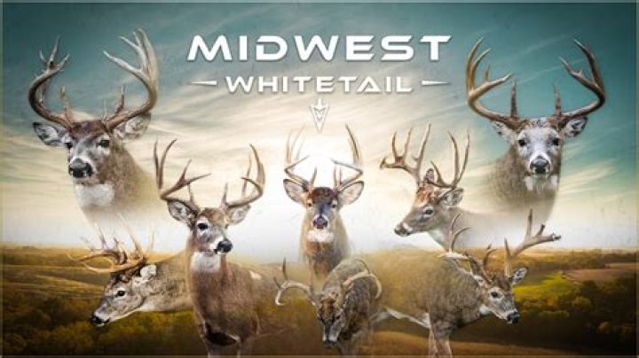 Midwest Whitetail Ютубер шолу