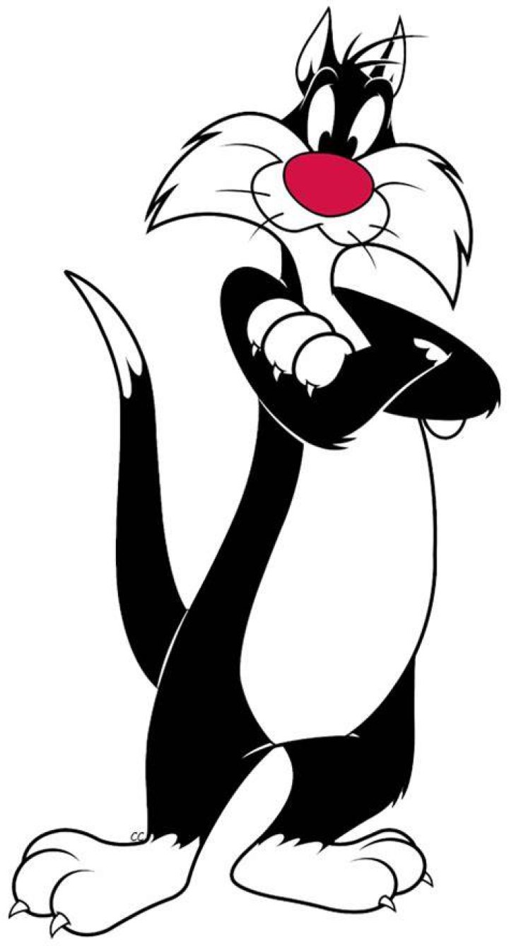 sylvester2