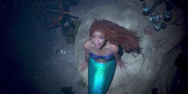 the little mermaid